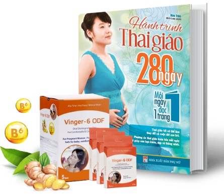 Vinger 6 - sản phẩm chuyên biệt cho mẹ bầu ốm nghén